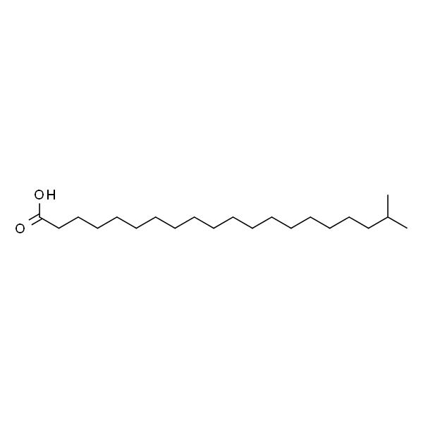19-Methylarachidic acid