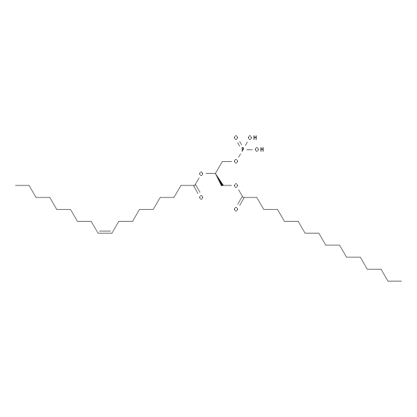1-Palmitoyl-2-Oleoyl-sn-Glycero-3-Phosphatidic acid
