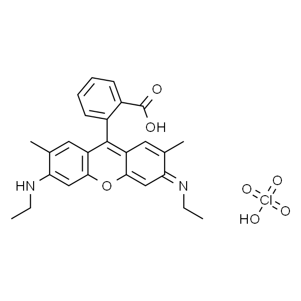 Rhodamine 19 perchlorate