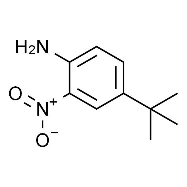 4-叔丁基-2-硝基苯胺