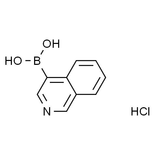 异喹啉-4-硼酸盐酸盐