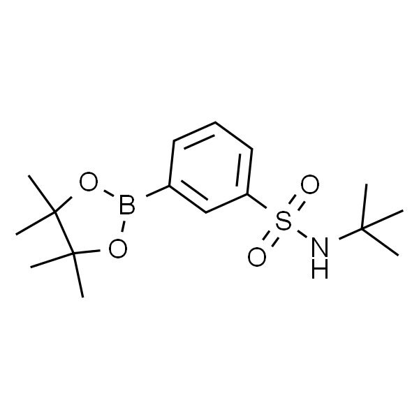 3-(N-叔丁基氨磺酰基)苯硼酸频哪醇酯