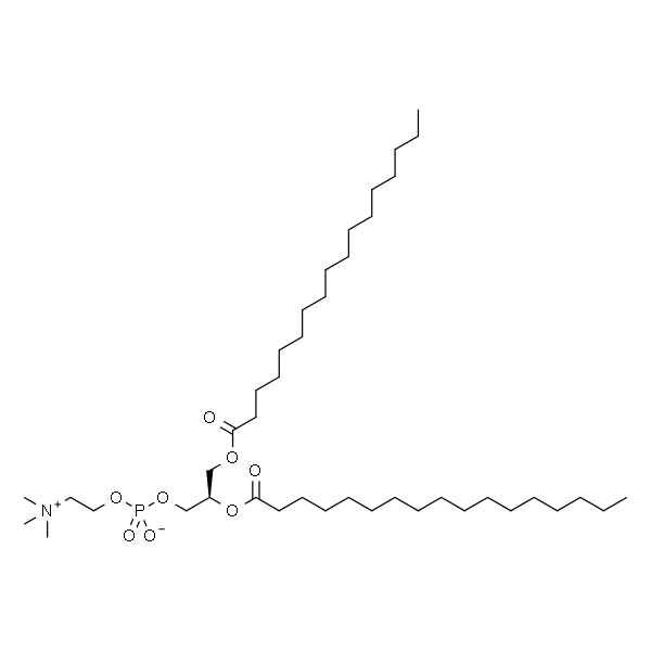 1，2-diheptadecanoyl-sn-glycero-3-phosphocholine