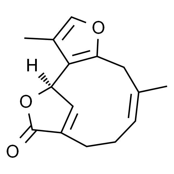 钓樟内酯