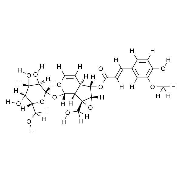 6-阿魏酰梓醇