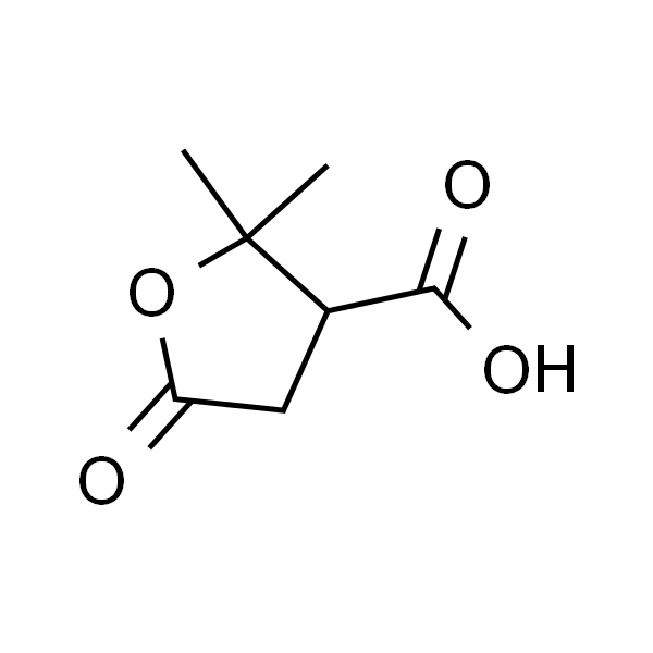 2,2-二甲基-5-氧四氢呋喃-3-羧酸