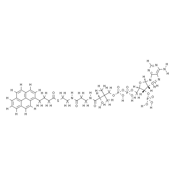 1-pyrenebutanoyl Coenzyme A (ammonium salt)