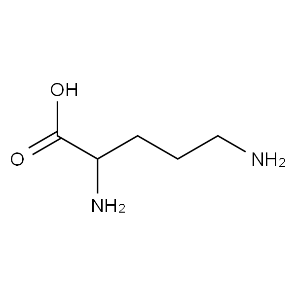聚-DL-鸟氨酸