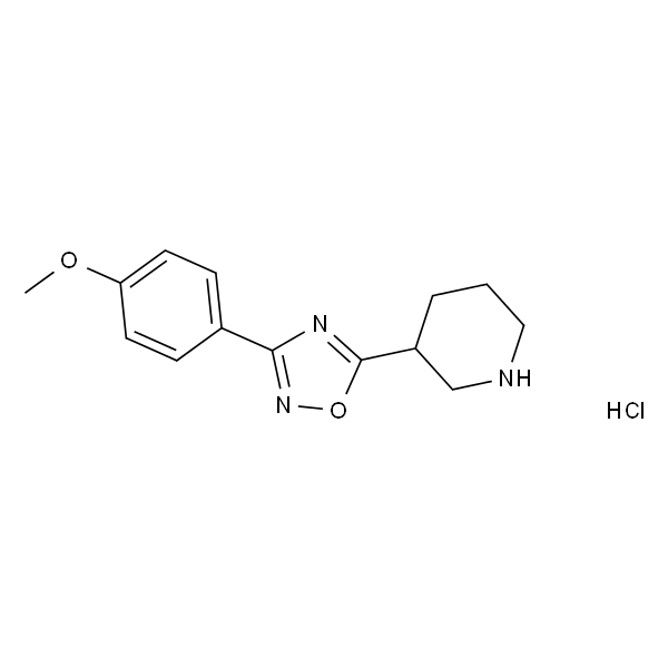3-(3-(4-甲氧基苯基)-1,2,4-噁二唑-5-基)哌啶盐酸盐
