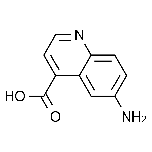 6-氨基喹啉-4-羧酸