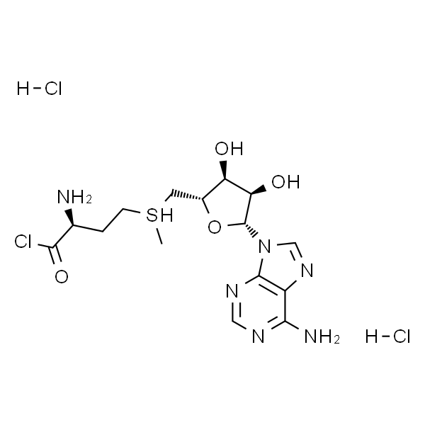 S-(5′-Adenosyl)-L-methionine chloride dihydrochloride