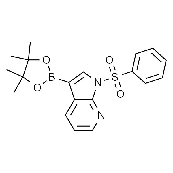1-苯磺酰基吡咯并吡啶-3-硼酸酯