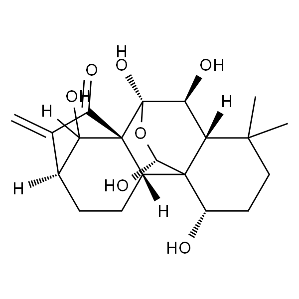 Hebeirubescensin H