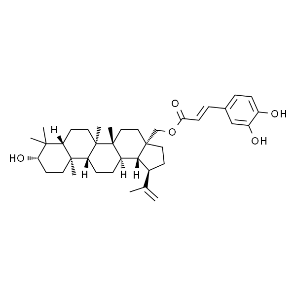 咖啡酸桦木醇酯