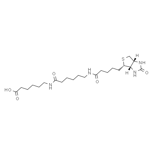 N-生物素基己酰氨基己酸