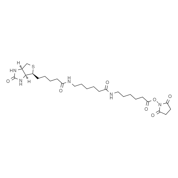 N-[6-(生物素氨基)己酰基]-6-氨基己酸N-琥珀酰亚胺酯