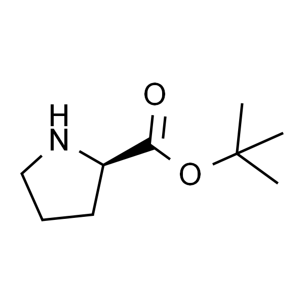 D-脯氨酸叔丁酯