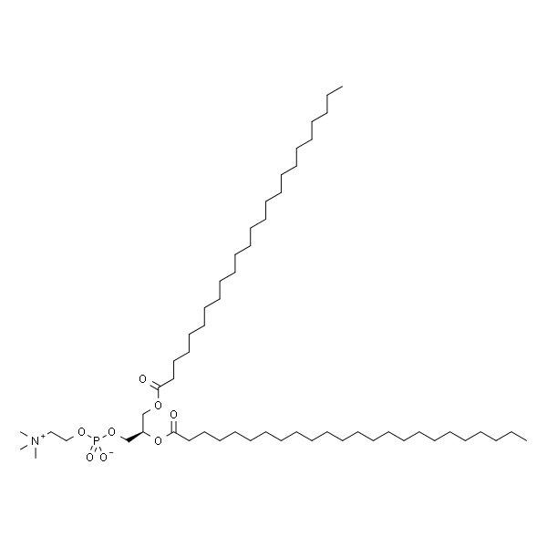 1,2-dilignoceroyl-sn-glycero-3-phosphocholine