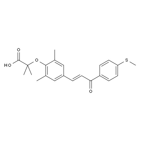 Elafibranor
