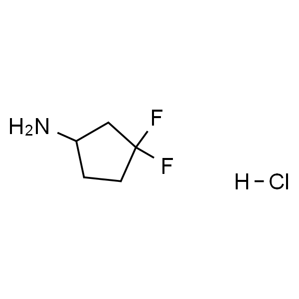 3,3-二氟环戊-1-胺盐酸盐