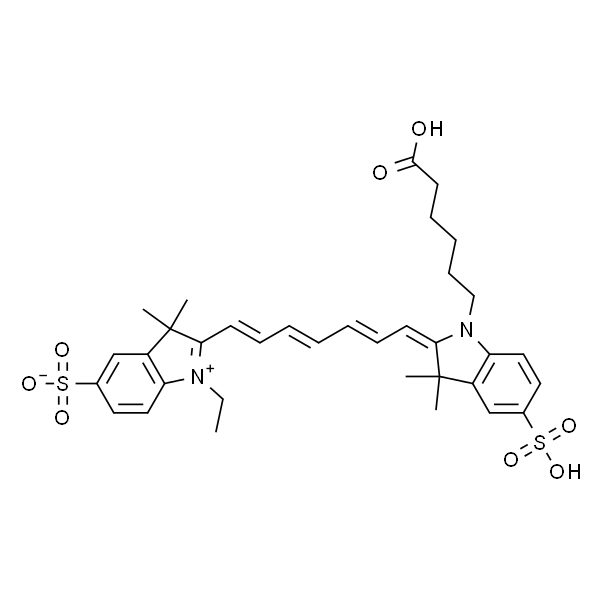 Cy7