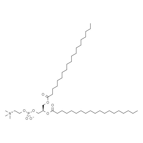 1,2-dinonadecanoyl-sn-glycero-3-phosphocholine