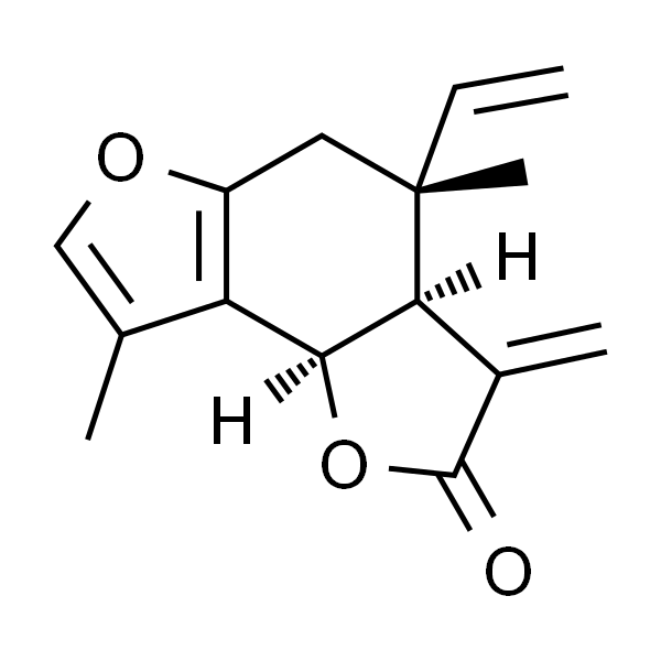 异乌药内酯