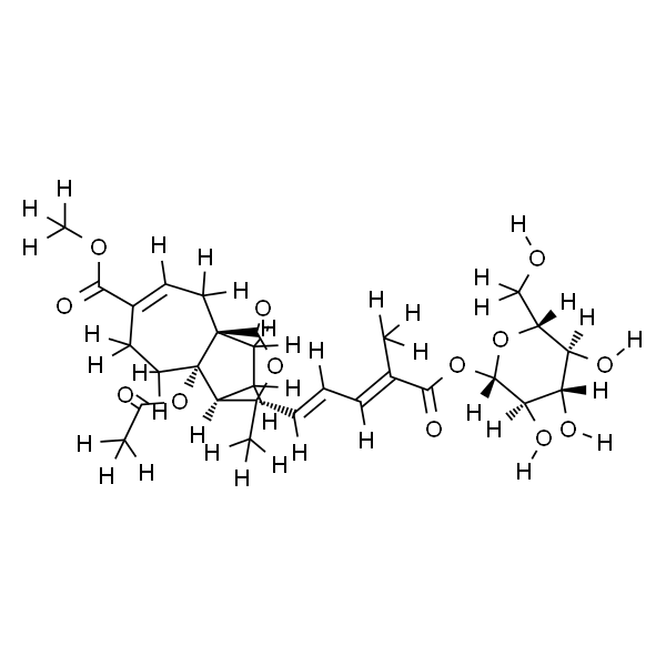 土槿皮乙酸-O-β-D-葡萄糖苷
